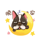 Ha DOG（個別スタンプ：3）