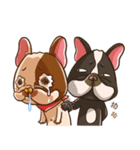 Ha DOG（個別スタンプ：22）