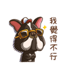 Ha DOG（個別スタンプ：38）