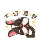 Ha DOG（個別スタンプ：39）