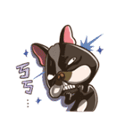 Ha DOG（個別スタンプ：40）