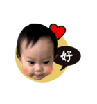 Maximus ＆ his baby sis' fun daily life！（個別スタンプ：15）