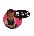 Maximus ＆ his baby sis' fun daily life！（個別スタンプ：16）
