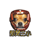 DOG SAY（個別スタンプ：3）