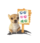 DOG SAY（個別スタンプ：5）