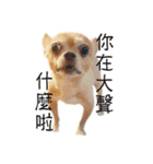 DOG SAY（個別スタンプ：8）