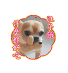 DOG SAY（個別スタンプ：19）