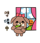 BearDog musician2（個別スタンプ：19）