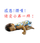 Ryan baby (2)（個別スタンプ：13）
