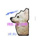 bagle HaHaHaHa（個別スタンプ：1）