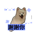 bagle HaHaHaHa（個別スタンプ：2）