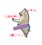 bagle HaHaHaHa（個別スタンプ：3）