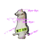 bagle HaHaHaHa（個別スタンプ：4）