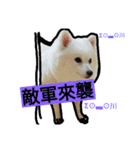 bagle HaHaHaHa（個別スタンプ：6）