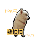 bagle HaHaHaHa（個別スタンプ：7）