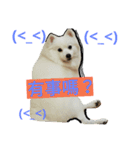 bagle HaHaHaHa（個別スタンプ：9）
