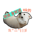 bagle HaHaHaHa（個別スタンプ：12）