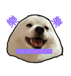 bagle HaHaHaHa（個別スタンプ：13）