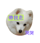 bagle HaHaHaHa（個別スタンプ：14）
