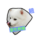 bagle HaHaHaHa（個別スタンプ：15）