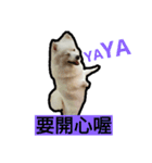bagle HaHaHaHa（個別スタンプ：16）