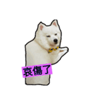 bagle HaHaHaHa（個別スタンプ：19）