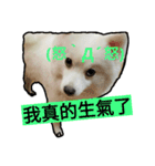 bagle HaHaHaHa（個別スタンプ：21）