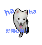 bagle HaHaHaHa（個別スタンプ：24）