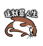 Hello,La-ta（個別スタンプ：12）