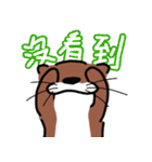 Hello,La-ta（個別スタンプ：20）