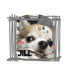 じる（個別スタンプ：1）