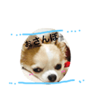 じる（個別スタンプ：2）
