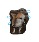 じる（個別スタンプ：3）