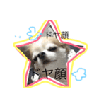じる（個別スタンプ：7）