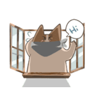 Just like a dog or cat's organism（個別スタンプ：5）