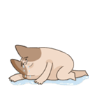 Just like a dog or cat's organism（個別スタンプ：14）