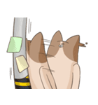 Just like a dog or cat's organism（個別スタンプ：22）