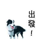 Mimi＆Jordie（個別スタンプ：7）