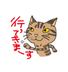 nobimaru Cat2（個別スタンプ：1）