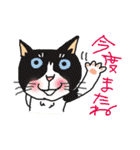 nobimaru Cat2（個別スタンプ：4）