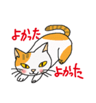 nobimaru Cat2（個別スタンプ：6）