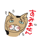 nobimaru Cat2（個別スタンプ：7）