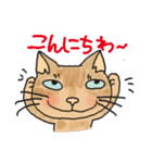 nobimaru Cat2（個別スタンプ：10）