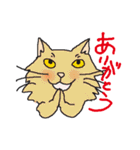 nobimaru Cat2（個別スタンプ：11）