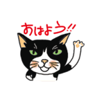 nobimaru Cat2（個別スタンプ：12）