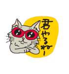 nobimaru Cat2（個別スタンプ：14）