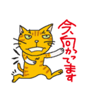 nobimaru Cat2（個別スタンプ：16）