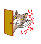 nobimaru Cat2（個別スタンプ：21）