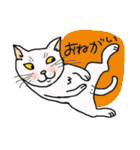 nobimaru Cat2（個別スタンプ：24）