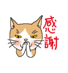 nobimaru Cat2（個別スタンプ：26）
